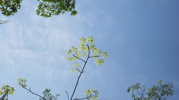 58C08C1D-0E10-4F65-8057-BDC8702D0E53/L0/001