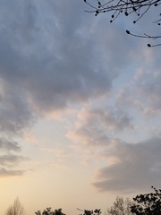 1000062304