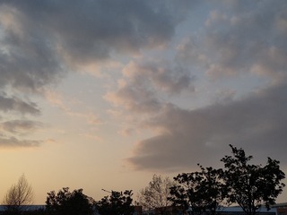 1000062305