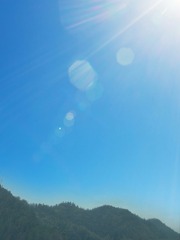 1204146
