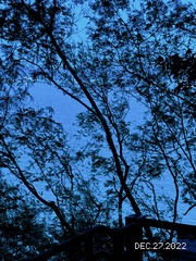 6F0811FB-BF22-460A-A7F7-F4A87A556BB3/L0/001