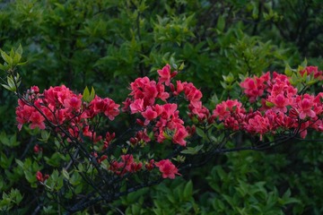 6BFD48F2-D61E-4761-A2F7-433A84617EE7/L0/001
