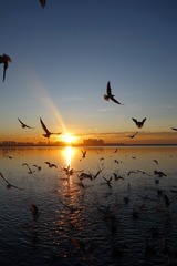 74739F38-F846-4DFA-856D-49754F62BB36/L0/001
