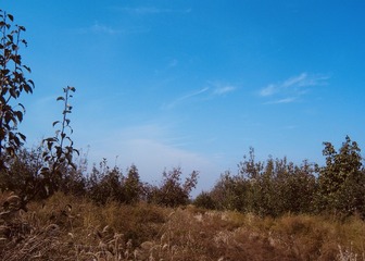5FA38DDC-1782-4D68-A5C9-02E4FA501D58/L0/001