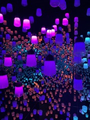 97F521E5-CC13-40E2-BCA1-8DBDE0AA55EF/L0/001