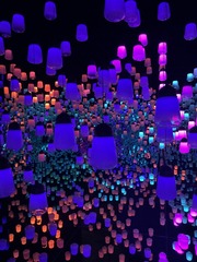 5F40FD93-B878-4A53-92FC-3C43B0FCD7F4/L0/001