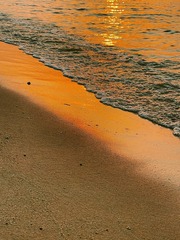 E93C04FD-C230-4C4F-A225-E7725A148378/L0/001