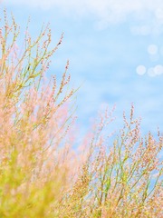 ED84646D-AB10-4F6B-B2D1-C49210FF06A9/L0/001