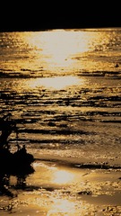 B1665656-4E80-4BDD-B996-61F145548DC8/L0/001