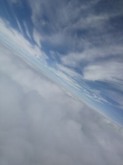 67902