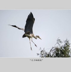 C31B1990-7EDD-4792-91F3-33CE9B2F8E5A/L0/001