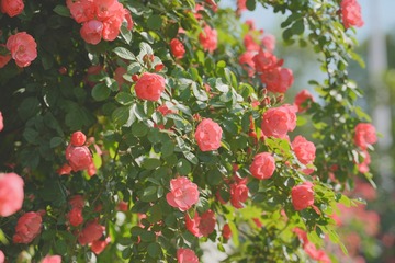 5951A0BB-C64B-48D7-A455-0D99EB20DA9B/L0/001