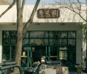 20029