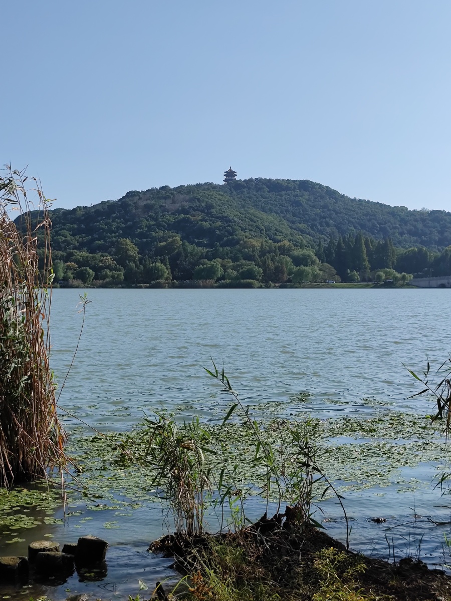 渔父岛 - 藕塘月色 - 图虫