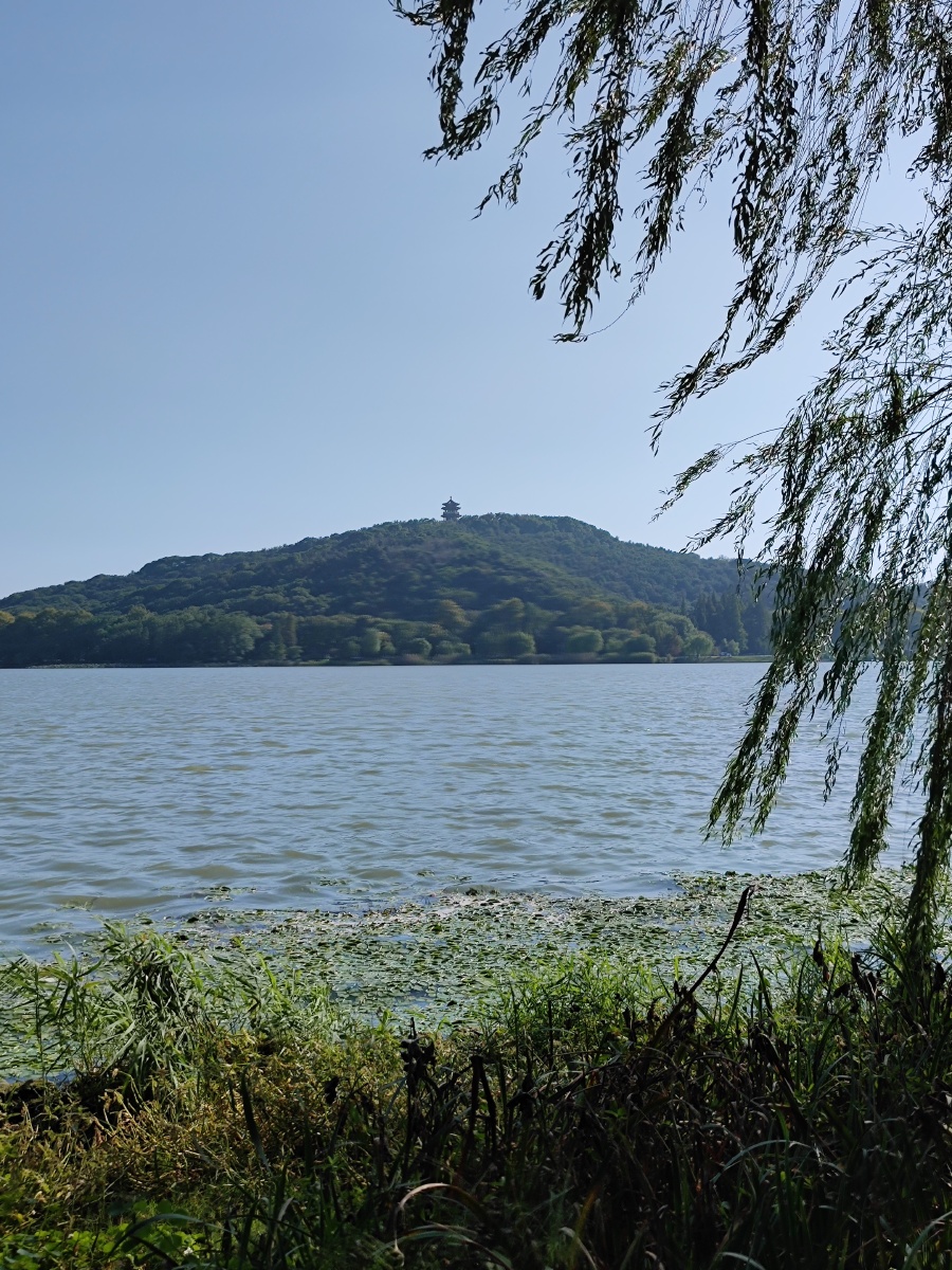 渔父岛 - 藕塘月色 - 图虫