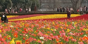508553
