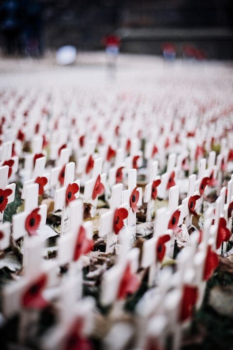 remembrance day garden,edinburgh<br />