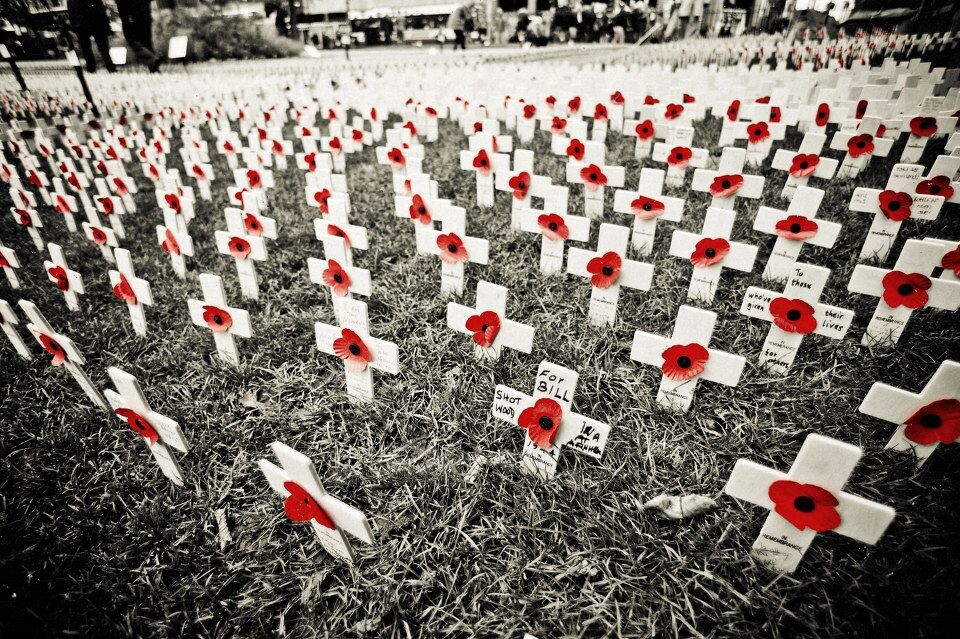 remembrance day garden,edinburgh<br />
荣军日
