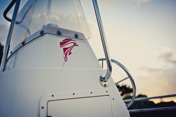 DRL_0920.jpg