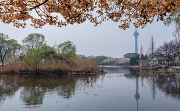 利兹市立图书馆
