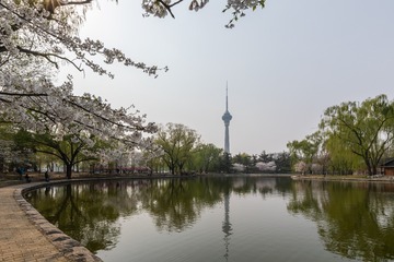 MUJI无印良品