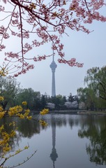 千禧广场