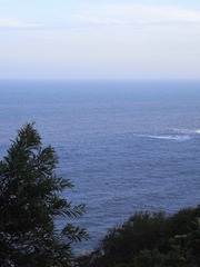 C120C713-834C-48D1-B7D5-6CA9493415D6/L0/001