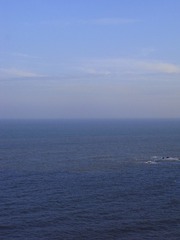 3FA17A40-498A-4713-8B0B-2CB367DB0B71/L0/001