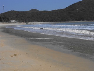 D61A4A43-CD6E-4744-ABF3-DA078A1E6362/L0/001