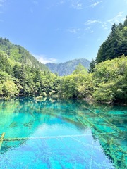 DD6D2CC9-5B3C-4CFC-89D0-89F95375226D/L0/001