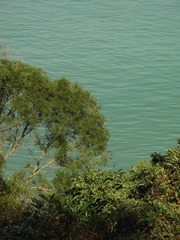 5E865639-090D-4881-ABD3-99A847706928/L0/001