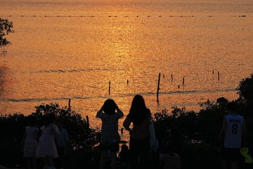 A657D8C4-24C6-475B-9282-EECB150B1A6D/L0/001