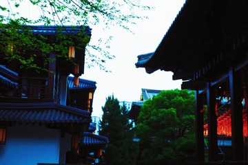 8F408E47-A7DA-4103-B630-349A0518D8C3/L0/001
