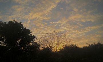 0F1CF987-F2C2-4387-8BDF-935463CEB69D/L0/001