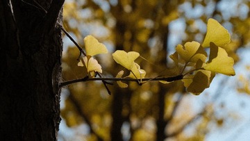 8419F932-0BC7-41EF-81DE-10D092D510CA/L0/001