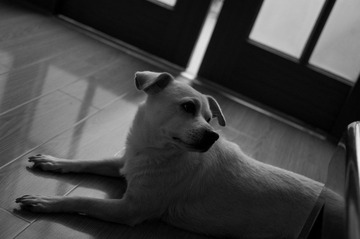 IMGP6494-1-2.jpg