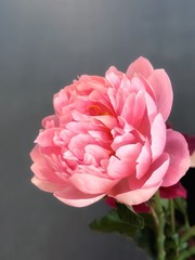 3D177F03-B4C1-40CC-ACC6-F73F79D50A3B/L0/001