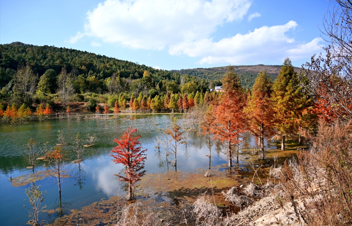 春城的色彩昆明甸尾村