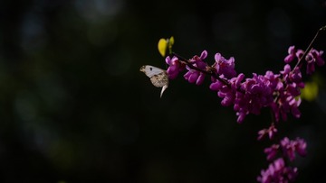 E6140D2C-737D-4A0C-A870-6082D30D64C3/L0/001
