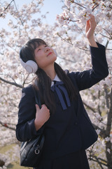 DSCF4581
