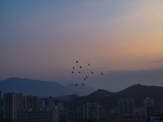 1124197