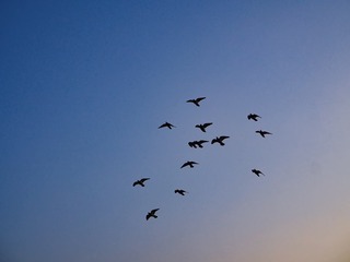 1124198