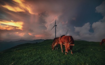DSC_7215-