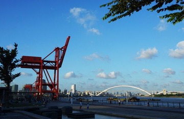 DSC09558.jpg