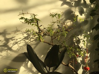 E7C0570C-3E1B-4669-A000-290944B0D9FB/L0/001
