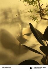 3307C6C5-74B2-4339-9474-F50AEAFB9753/L0/001