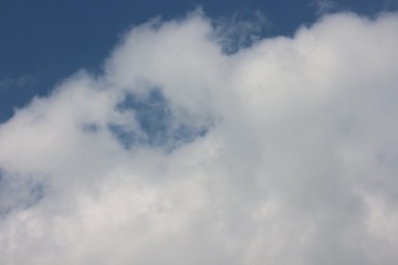 3655