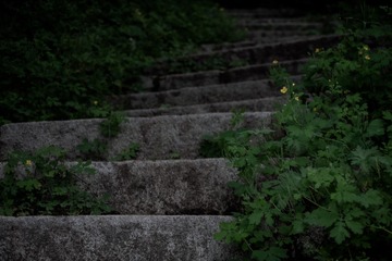 75219