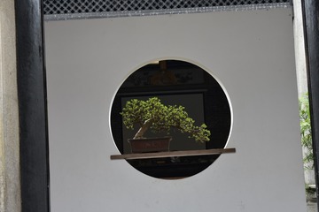 356572