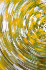 1000070017